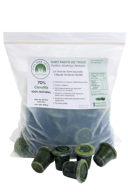 💚🌿 Pack Clorofila Pura / Wheatgrass